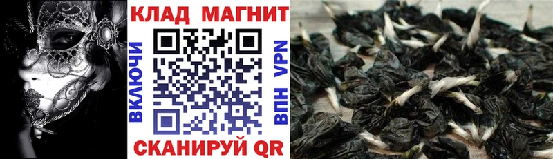 Купить наркоту Саранск Гашиш  СОЛЬ  МЕФ  Канабис 
