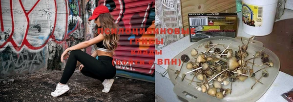 мет Бронницы