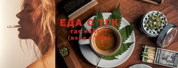 тгк Бородино