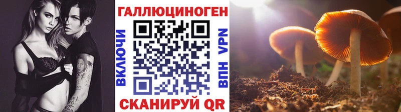 Псилоцибиновые грибы Psilocybine cubensis  цена   Саранск 
